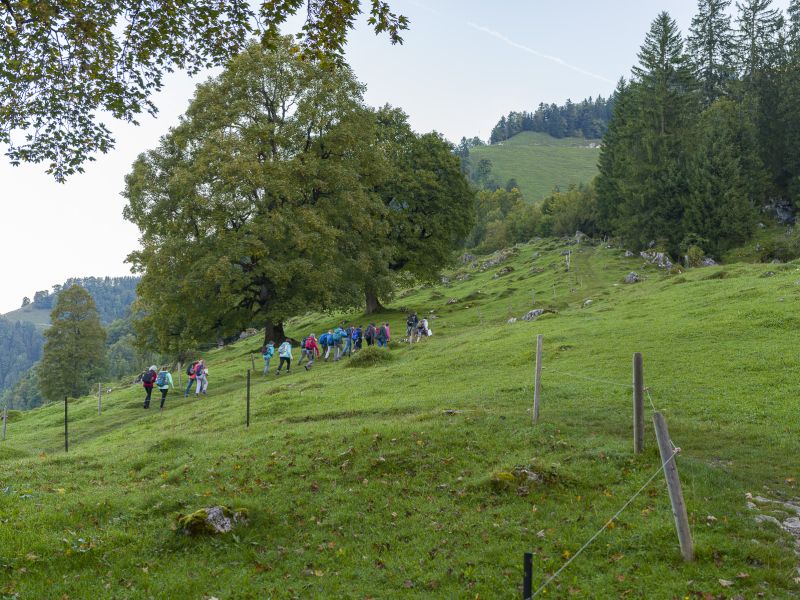maria-rickenbach-sommer-schulreisen-05-wanderwege-ein-riesiges-netzwerk-maria270921-0001013