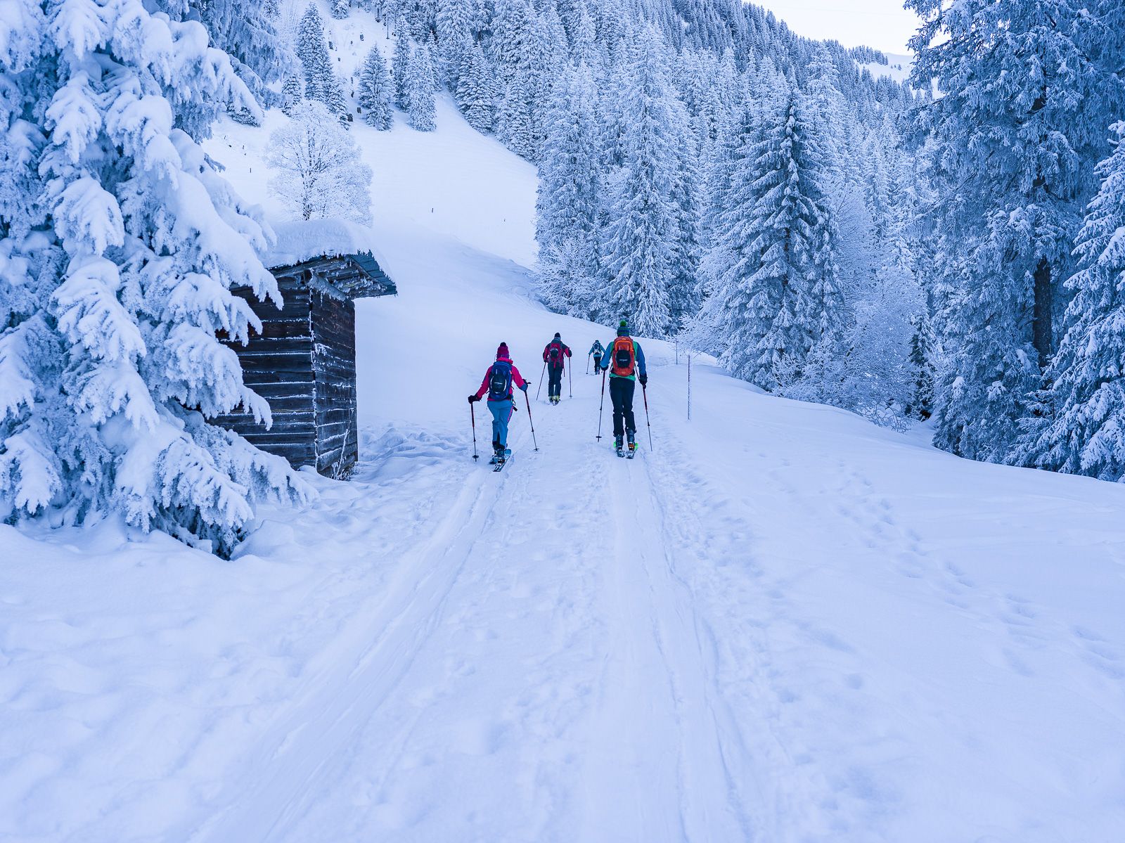 maria-rickenbach-winter-skitouren-und-freeriden-01-header-maria070121-0000105