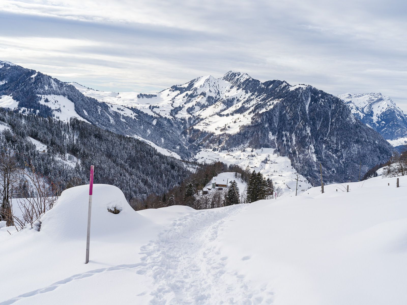 maria-rickenbach-winter-winterwanderwege-01-header-maria190121-0000301