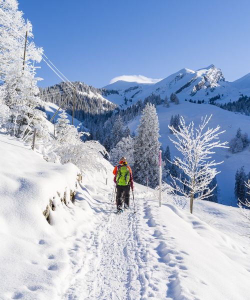 maria-rickenbach-winter-03-schneeschuhwandern-maria070121-0000164