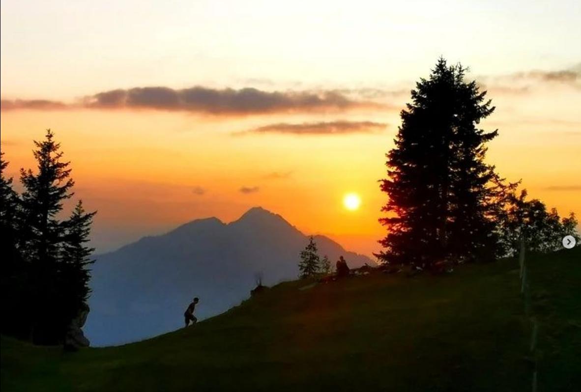 MariaRickenbach_Fotowettbewerb_Bild68