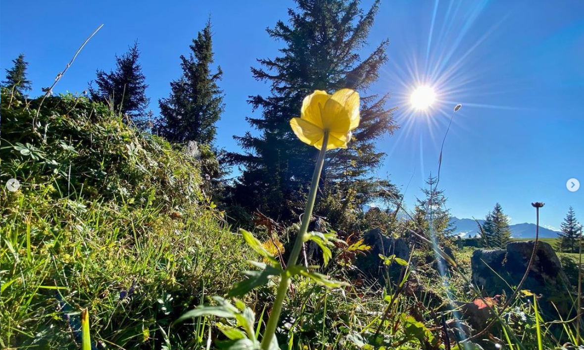 MariaRickenbach_Fotowettbewerb_Bild90